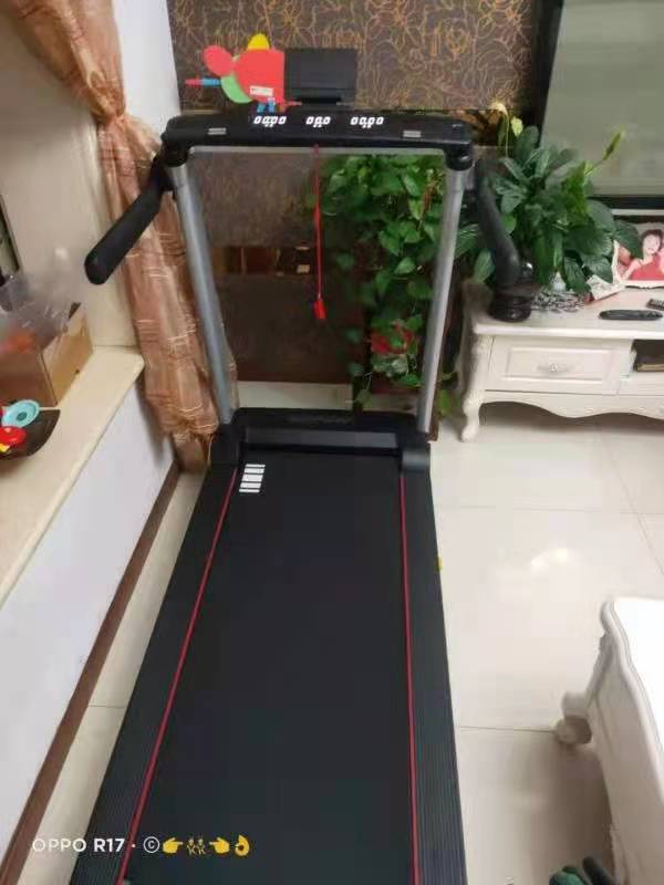 小猪视频APP网站价格