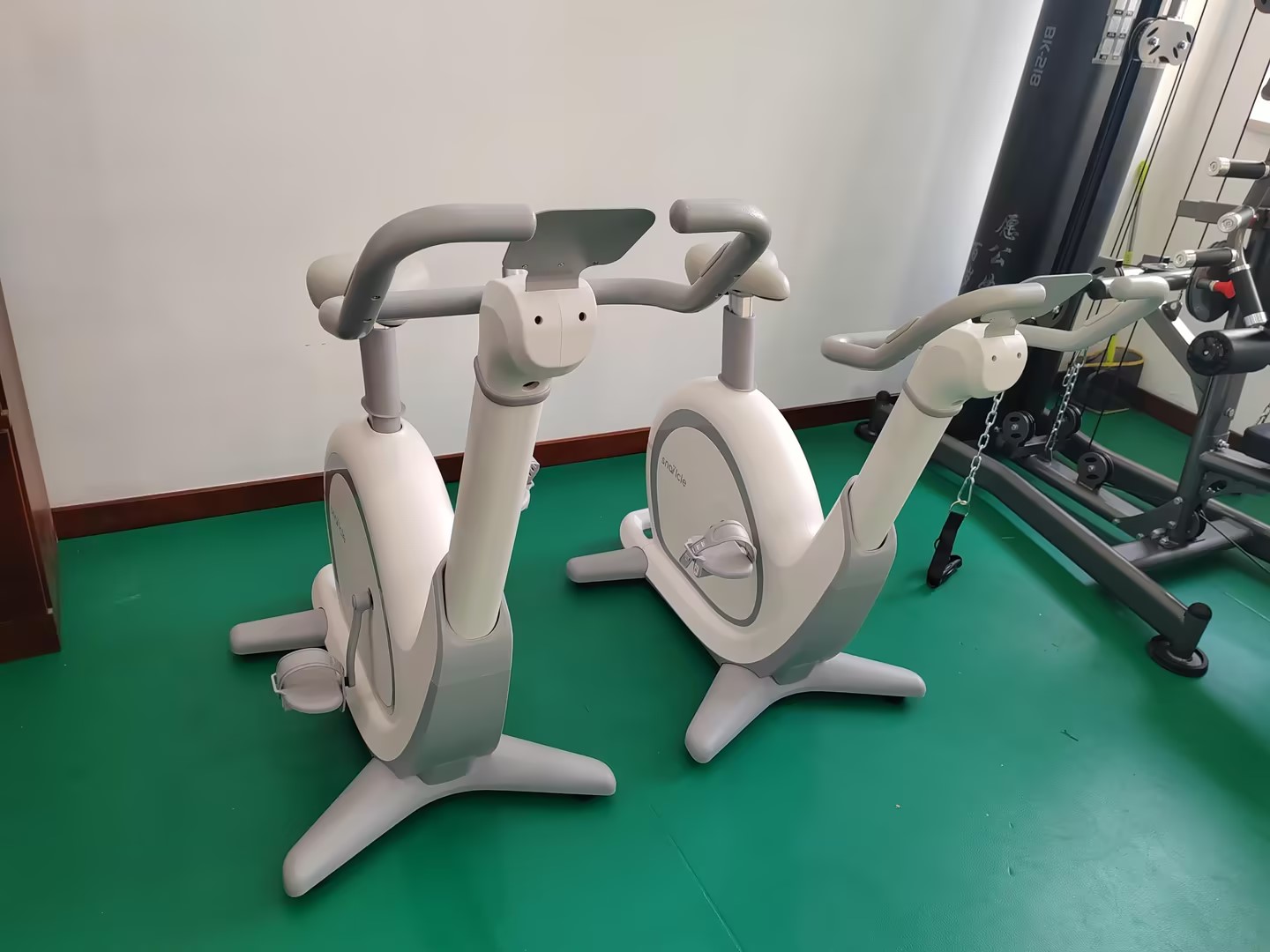 太原小猪视频鸭脖视频APP下载安装